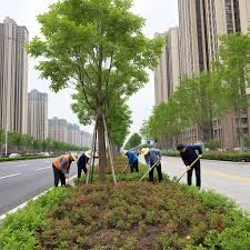 2026美加墨世界杯官网 孝义市园林绿化工程公司